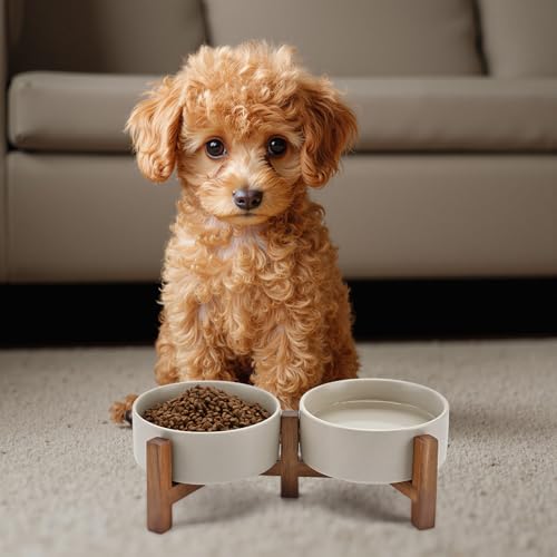 SPUNKYJUNKY Ceramic Dog Bowls Set with Acacia Wood Stand - Raised Dog Food and Water Bowl for Small Dogs (13.52 OZ, Gray) - color: Gray, size: 13.52 Oz