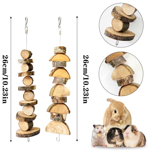 4 Pack Small Animal Chew Toys, Natural Apple Wood Sticks Hanging Chew String for Hamsters, Rabbits, Chinchillas, Guinea Pigs - Dental Molar Treats & Cage Accessories