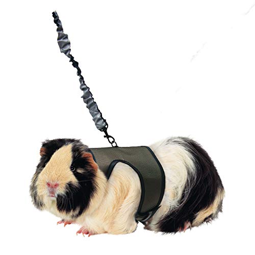 Kaytee Comfort Harness and Stretch Leash Large (Pack of 3) - size: Large (Pack of 3)