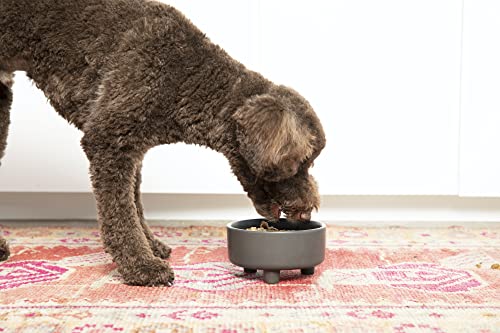 Waggo Uplift Ceramic Dog Bowl for Small Medium and Large Breeds - Heavyweight and Durable Pet Food and Water Dish Crock, Dishwasher Safe, Modern, Elevated Feeder (Small, Teracotta) - color: Teracotta, size: Small