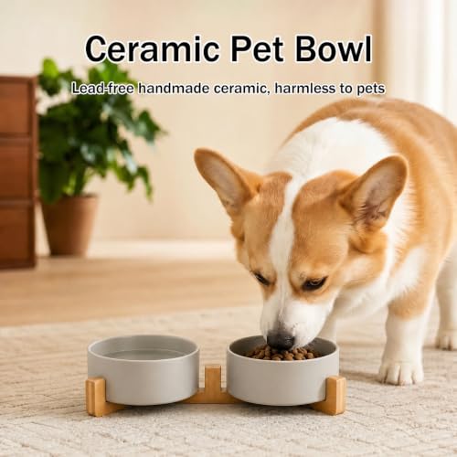 MateeyLife Ceramic Dog and Cat Bowls with Stand, 2-Pack Food and Water Bowl Set - Non-Slip Pet Bowls for Cats,Puppies and Small Dogs, 13.5OZ（Grey） - color: Grey, size: S-1.5Cup