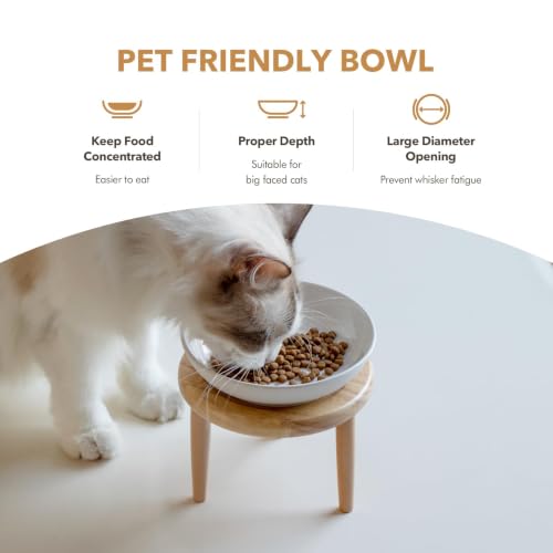 Havniva Elevated Cat Bowls, Cat Food and Water Bowl Set, Ceramic Cat Bowl | Raised Cat Food Bowls, Whisker Friendly, 5.6” Shallow Cat Dishes, Wide Cat Plates, Non-Slip Wood Stand, Two Heights - color: White, size: 1 Bowl