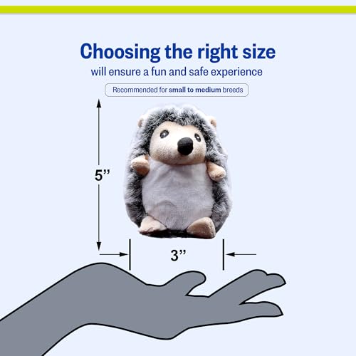 PetSport Tiny Tots Little Hedgie - Hedgehog Stuffed Animal Dog Toy with Squeaker, Interactive Puppy Toy, Squeaky Plush - Little Hegdie (Pack of 1) - color: Hedgehog, size: 5 Inch (Pack of 1)