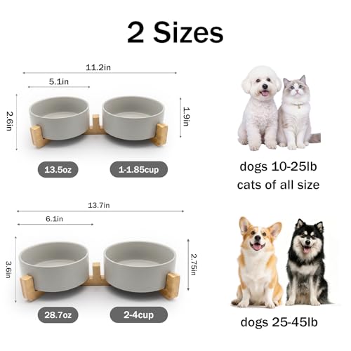 MateeyLife Ceramic Dog and Cat Bowls with Stand, 2-Pack Food and Water Bowl Set - Non-Slip Pet Bowls for Cats,Puppies and Small Dogs, 13.5OZ（Grey） - color: Grey, size: S-1.5Cup