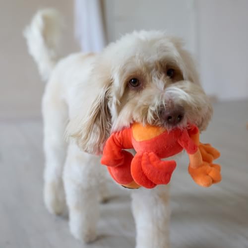 SPOT Chirpies Plush Dog Toy – Bird Sound Squeaky Toy for Small and Medium Dogs, Light to Moderate Chewers, Stretchy Bungee Neck, Recycled Stuffing – 14 in, Assorted Styles