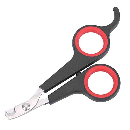 Solid Stainless Steel Bird Nail Clipper, Bird Cage Essential Accessories, Bird Grooming Tool Accessory for Pet Store & Parrot