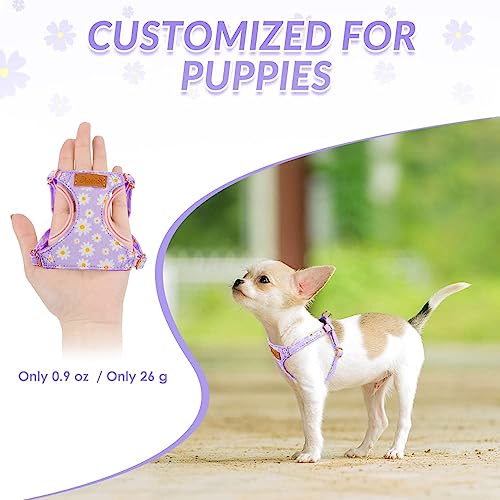 Lukovee Puppy Harness and Leash Set, No Pull, Lightweight Step in Vest | Adjustable, Soft Suede Vest, Easy Put on and off Pet Harness with Snap Buckle & 51in Leash for Small Medium Dogs (Purple, S) - color: Purple Daisy, size: Small ( 9-17.5lb )