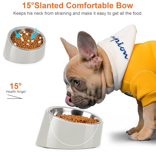 Tilted Dog Bowl Non-Slip & Non-Spill Pet Feeder with Elevated Detachable Melamine Stand, Easy to Get Food Dog Dish, L/300ml Gray - color: Grey, size: Large(300ml)