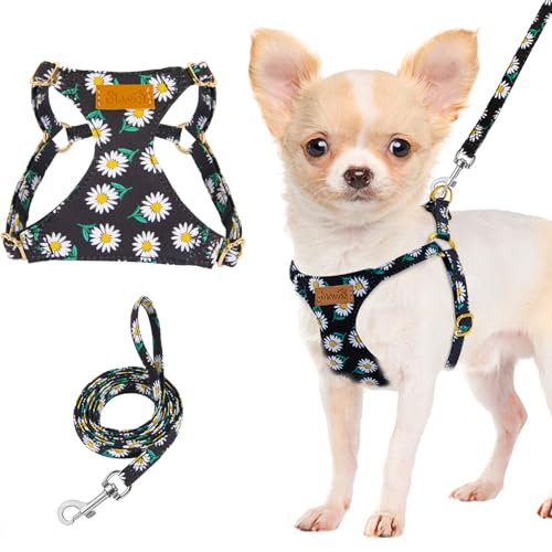 Lukovee Puppy Harness and Leash Set, No Pull, Lightweight Step in Vest | Adjustable, Soft Suede Vest, Easy Put on and off Pet Harness with Snap Buckle & 51in Leash for Small Medium Dogs (Black, XXS) - color: ·Black Daisy, size: XX-Small ( 2.2-6lb )