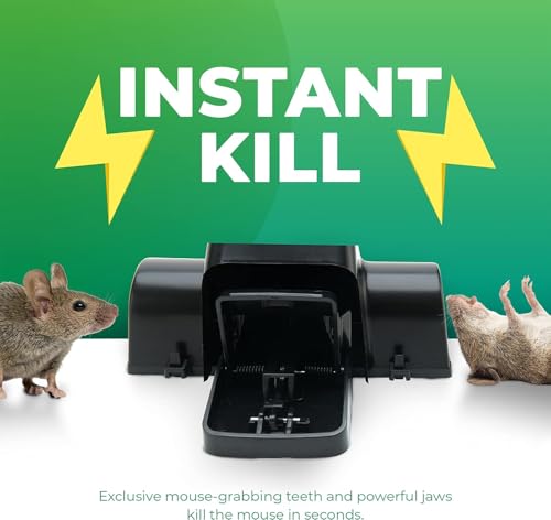 Rat Traps Indoor and Outdoor - 3 Pack Dual-Entry Large Rat Trap Outdoor and Indoor for Home, Garden and Restaurant with 99.9% Trap Rate | Easy to Use Rodent Traps with Safe Hands Free Design - UCatch - size: Pack of 3