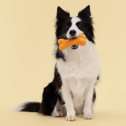 Playology Dual Layer Bone Dog Chew Toy - Jumbo, Cheddar Cheese Scent | Rubber Construction, All Natural Scent, Heavy Duty Design - size: Jumbo, style: Cheddar Cheese