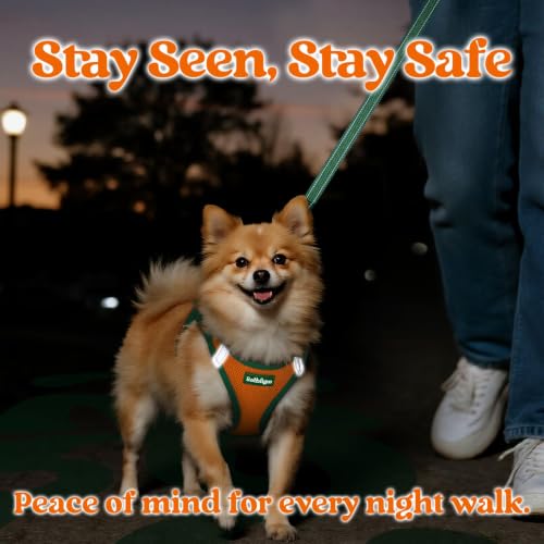 rabbitgoo Dog Harness Small Sized and Leash Set, Step in Soft Vest | Breathable Mesh, Easy Wear with Hook & Loop, Light and Reflective for Walking, Multi-colored, Orange & Dark Green, XXS - color: Orange & Dark Green, size: XXS (Chest: 12.4"-14.2")