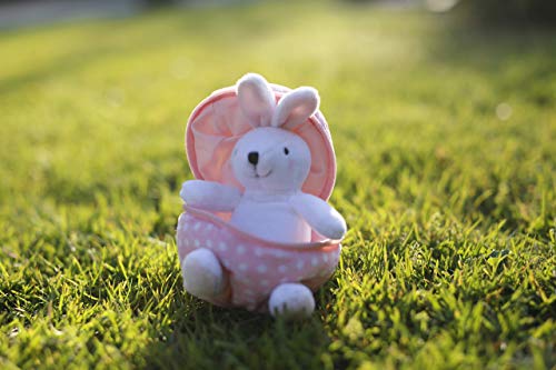 Easter Stuffed Animal - 6 inch - Surprise Zip up Egg Hideaway Springtime Inspired Plush Toy Gift for Kids, Boys and Girls - Easter Mother's Day Birthday (New Bunny-Egg) - color: New Bunny-egg