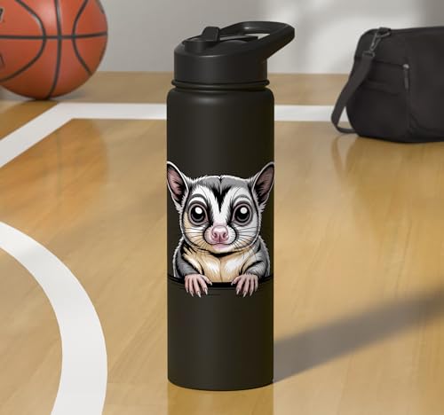 Sugar Glider Cute Peeking Marsupial Funny Animals Stainless Steel Insulated Water Bottle - color: Black