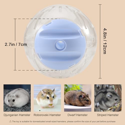 3-in-1 Hamster Ball 4.8 Inch Detachable Hamster Wheel Racing Car Toy