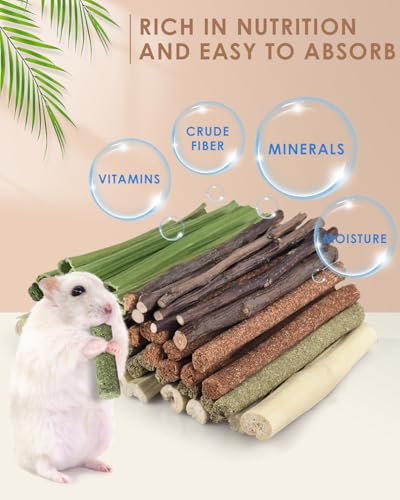 Bissap 54 PCS Rabbit Chew Sticks, Mix Natural Sweet Bamboo Timothy Hay Oat Carrot Chew Stick Apple Branch Bunny Chews for Rabbit Hamster Chinchilla Guinea Pig Small Pet Molar Treats - size: 0.3 Ounce (Pack of 54)
