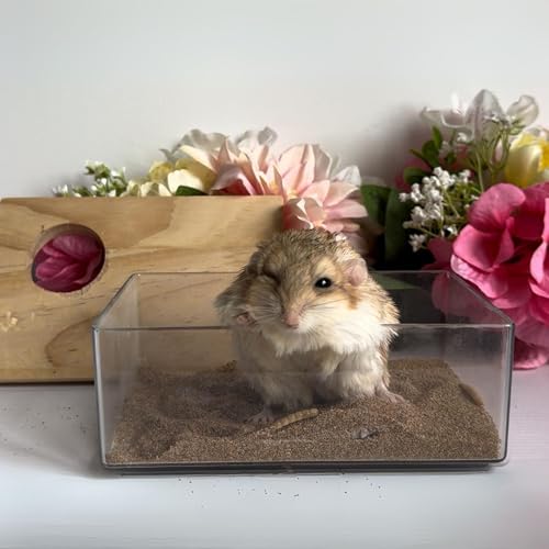Exotic Nutrition Acrylic Sand Bath House - Fun & Unique Cage Accessory for Hamsters, Gerbils, Chinchillas, and Degus (Small) - size: Small