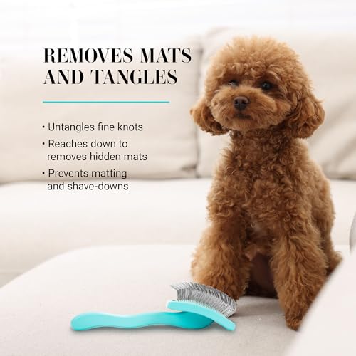 Chris Christensen Big G Dog Slicker Brush for Dogs (Goldendoodles, Labradoodles, Poodles), Groom Like a Professional, Fluff Detangle Style, Saves Time Energy, Teal, Large - color: Teal, size: Large