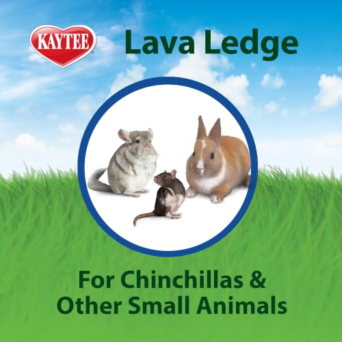 Kaytee Lava Ledge for Attaching To Small Pet Animal Wire Habitats - size: Pack of 1