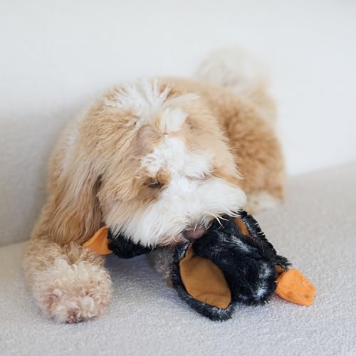 SPOT Skinneeez Mini Mallard Duck 13 Inch Stuffing-Free Plush Squeaky Dog Toy – Soft Interactive Toy for Small and Medium Dogs – Mess-Free Play for Light & Moderate Chewers – Assorted Styles - style: Mini Mallard Duck