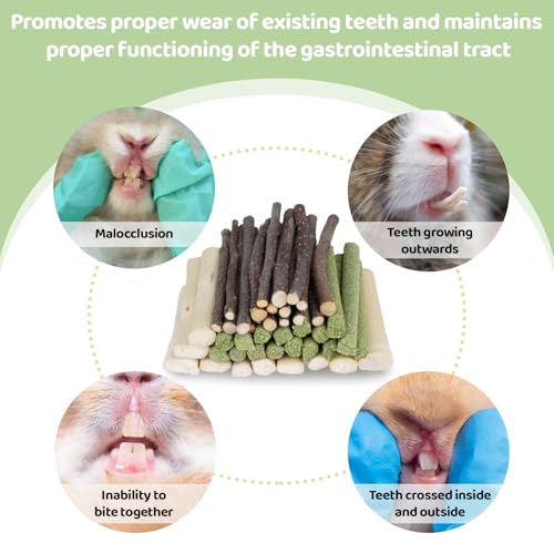 Sukh 300g Rabbit Chew Toy Set-Timothy Hay,Apple Sticks & Sweet Bamboo Stick | Natural Small Animal Treat Set for Rabbits, Guinea Pigs, Chinchillas and Squirrels, for Teeth Grinding, Enrichment and Gifts - color: Timothy & Apple & Sweet Bamboo