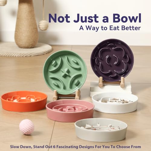 Ceramic Slow Feeder Dog Bowl, 0.8 Cups Anti -Slip Slow Feeding Bowl to Slow Down Eating, 6.3 Inch Dog Food Dish for Small Breeds, Green - color: Green, size: Small