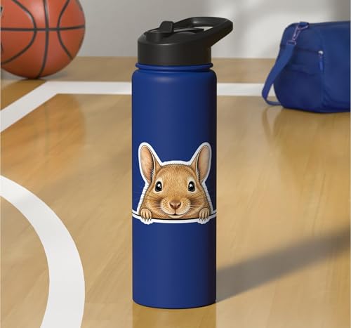 Peeking Degu Stainless Steel Insulated Water Bottle - color: Royal Blue