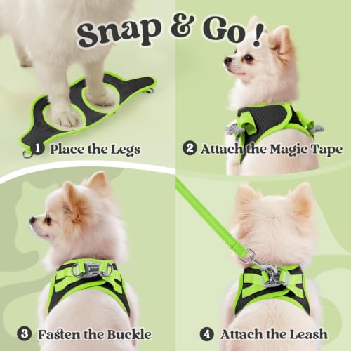 rabbitgoo Dog Harness Small Sized and Leash Set, Step in Soft Vest | Breathable Mesh, Easy Wear with Hook & Loop, Light and Reflective for Walking, Multi-colored, Black & Green, XS - color: Black & Green, size: XS (Chest: 13.3"-15.5")