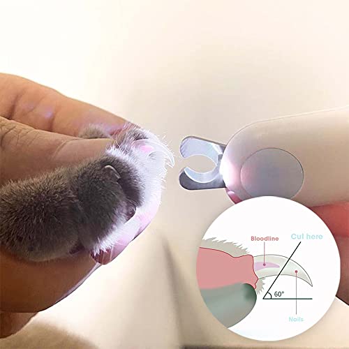 Leo's Paw Cat Nail Clipper with LED Light - Safe Cat Claw Trimmer & Clipper with Sharp Stainless Steel Blades and Childproof Lock - Suits Small Animals (Mint)