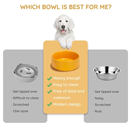 SPUNKYJUNKY 13.5OZ Ceramic Dog and Cat Bowl, Modern Cute Weighted Food Water Bowl for Replacement Yellow (1 Pack) - color: Yellow, size: 1.7 CUPS