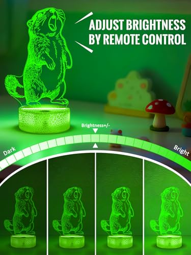Groundhog 3D Night Light for Kids, LED 16 Colors Remote Control Changing Touch Dimmable Table Desk Lamp, Cute Animal Gifts for Groundhog Lovers Animal Fans - color: Color A