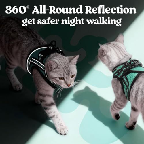 rabbitgoo Cat Harness and Leash Set, Step-in Soft Vest, Green | Escape Proof, Lightweight, Easy-on & Adjustable, Hook & Loop with Buckle, Reflective, for Kittens & Small Cats Walks, S - color: Green, size: S