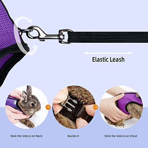Niteangel Adjustable Soft Harness with Elastic Leash for Rabbits (M, Blue) - color: Blue, size: M