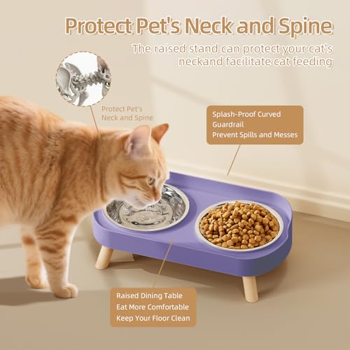 Elevated Cat Bowl, Raised Cat Food and Water Bowl Set for Indoor Cats, Splash Proof with 2 Stainless Steel Pet Food Bowls for Cats and Puppies, Whisker Fatigue and Dishwasher Safe - Purple - color: Cat Bowls-Purple