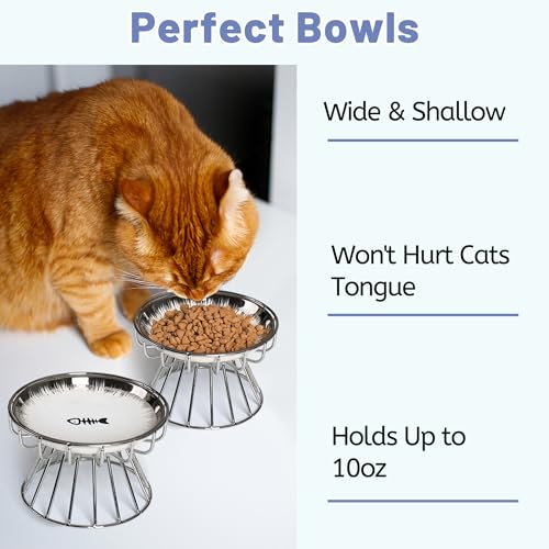 Cat Bowls, Elevated Bowl, Raised Ceramic Dish with Metal Stand, Pet Water or Food Feeding Station for Indoor Cats, Kitten,Dishwash Safe - color: Glossy Sliver
