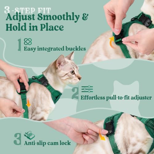 rabbitgoo Cat Harness and Leash, Easy-on with Neck Buckle, Dark Green | Escape Proof, No Over-the-head, Soft Air Mesh, 3 Lockable Adjusters & Buckles, Reflective, for Kittens & Small Cats Walks, Xs - color: Dark Green, size: Xs