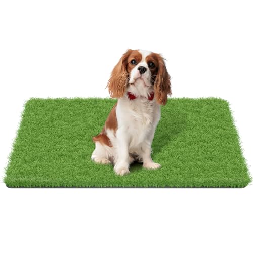 MAYSHINE Fake Grass for Dogs, Artificial Turf Grass Indoor Outdoor, Mat for Dogs Soft Blades, Cesped Artificial for Patios, Dog Astro Turf for Balcony, Quick Clean, Easy Rinse Patio Rug, 35"x24" - size: 35" x 24", style: Without Drainage Holes
