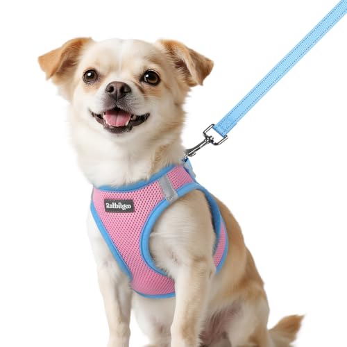 rabbitgoo Dog Harness Small Sized and Leash Set, Step in Soft Vest | Breathable Mesh, Easy Wear with Hook & Loop, Light and Reflective for Walking, Multi-colored, Pink & Blue, XXS - color: Pink & Blue, size: XXS (Chest: 12.4"-14.2")