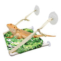 Bearded Dragon Window Perch, Lizard Window Hammock, Reptile Bed, Lizard Window Hammock, Reptile Tank Accessories, Suitable for Lizard Bearded Dragon Chameleon Kitten Guinea Pig Rat 12 × 11 Inches