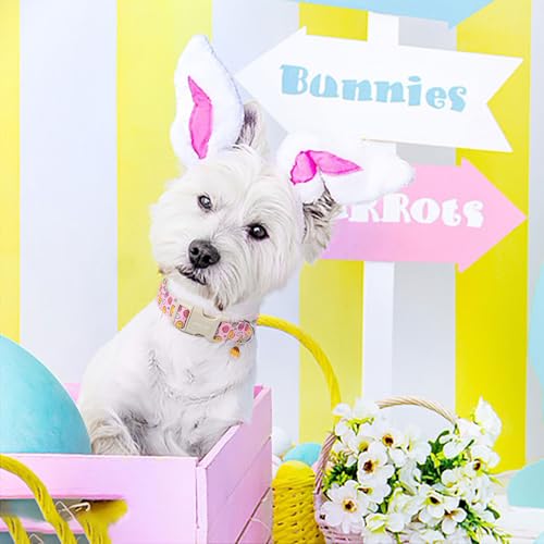 ARING PET Easter Dog Collar-Cute Adjustable Pink Chick Pet Collars Puppy Collar Gifts with Quick Release Buckle for Girl Boy Dogs-XS - color: Easter-Pink Chick, size: X-Small