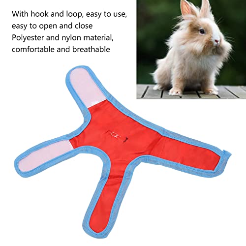 Bunny Harness Leash Set, Escape Proof Adjustable Walking Vest for Outdoor Walks Small Pets Polyester Nylon Cartoon Dinosaur 1 Set