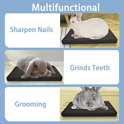 BNOSDM Rabbit Grinding Claw Pads Bunny Scratch Foot Pads Natural Hamster Lava Stone for Teeth Grinding Black Guinea Pig Scratching Board Chew Toy for Ferret Chinchilla Mouse - color: Black 1x Large