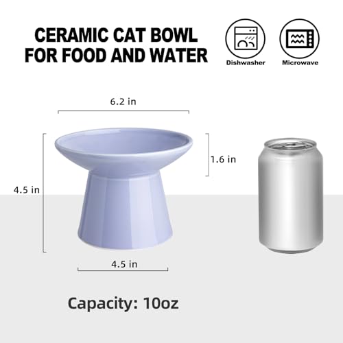 Ceramic Elevated Cat Bowls - 6.2 Inch Extra Wide Raised Cat Food and Water Bowl Set for Indoor Cats, Whisker-Friendly Ceramic Cat Dish for Elder Big Cats & Small Dogs,Light Purple,2 Pack - color: Light Purple, size: 2 Pack