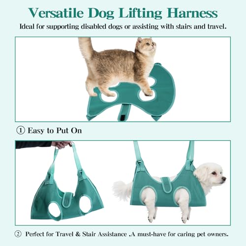 Bitbat Dog Grooming Hammock for Small Dogs & Cats, Pet Nail Sling Harness | Dog hanging harness for nail trimming. Soft support, dual straps. Includes 767C clippers + file. For small pets. - color: Gray