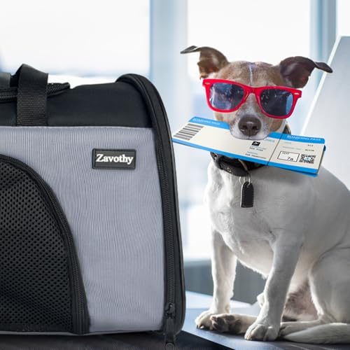 TSA Airline Approved Soft-Sided Pet Carrier for Small to Medium Cats and Puppies, Up to 15 Lbs – Collapsible Travel Carrier for Dogs & Cats, Grey