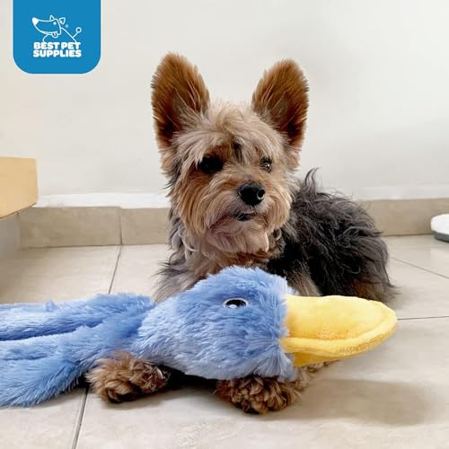 Best Pet Supplies Interactive Squeaky Dog Toy - Crinkle Duck Set | Pack of 3, Stuffing Free Body, Soft, Squeaks & Crinkles, No Mess, Perfect for Moderate Chewers, Toss and Fetch Play - color: Crinkle Duck (Yellow, Blue, Pink), size: Large