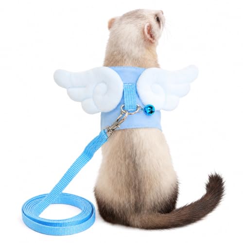 Ferret Harness and Leash Set for Adult Ferrets, Cute Angel Wing Small Animal Vest Harness, Adjustable for Ferrets Kittens Mini Dogs Blue1536-2 - color: Sky Blue