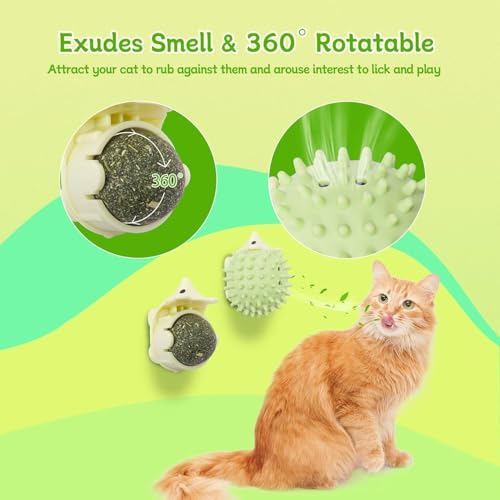 2 PCS Catnip Toys Self-Grooming Cat Brush with Catnip Ball & Gall Fruit, Kitty Kitten Scratcher Self Groomer Cat Toys for Indoor Cats