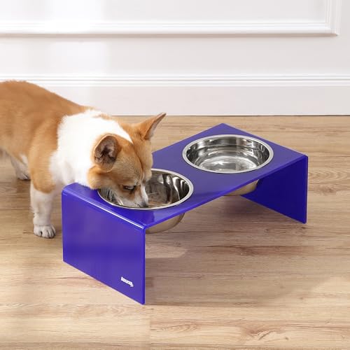 DBL2001F Keaton 7.5" Medium/Large Modern Acrylic Rectangular Elevated Pet Feeder with 54oz 2-Stainless Steel Bowls, Purple/Chrome - color: Purple/Chrome, size: 54 Ounces (7.5" Cups 2-Pack)
