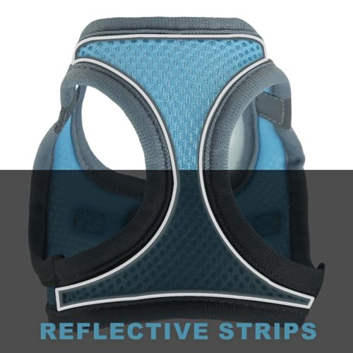 Cat Dog Vest Harnesses Leash Light Escape Proof Kitten Walking Jacket | Soft Small Medium Dog Breathable Mesh Step-in Vest,Easy Adjustable Fit, Reflective Strips,for Puppies Rabbits-S - size: S